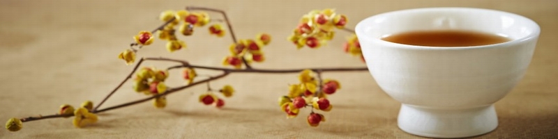 �����������X�������T�C�g